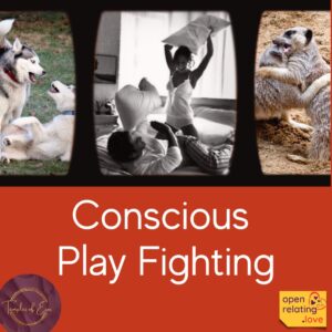 Conscious Play Fighting
